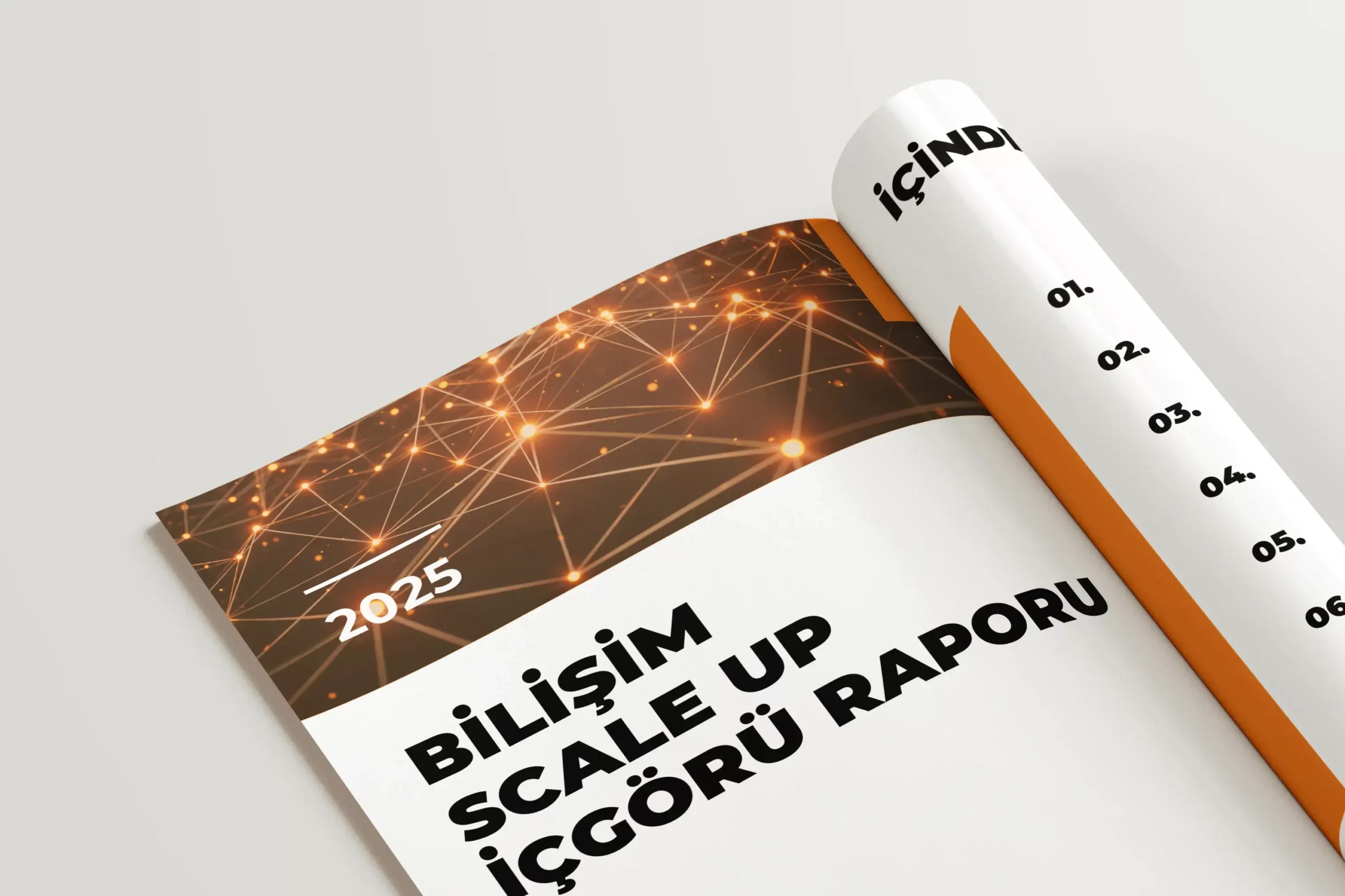 TÜBİSAD Scale-Up